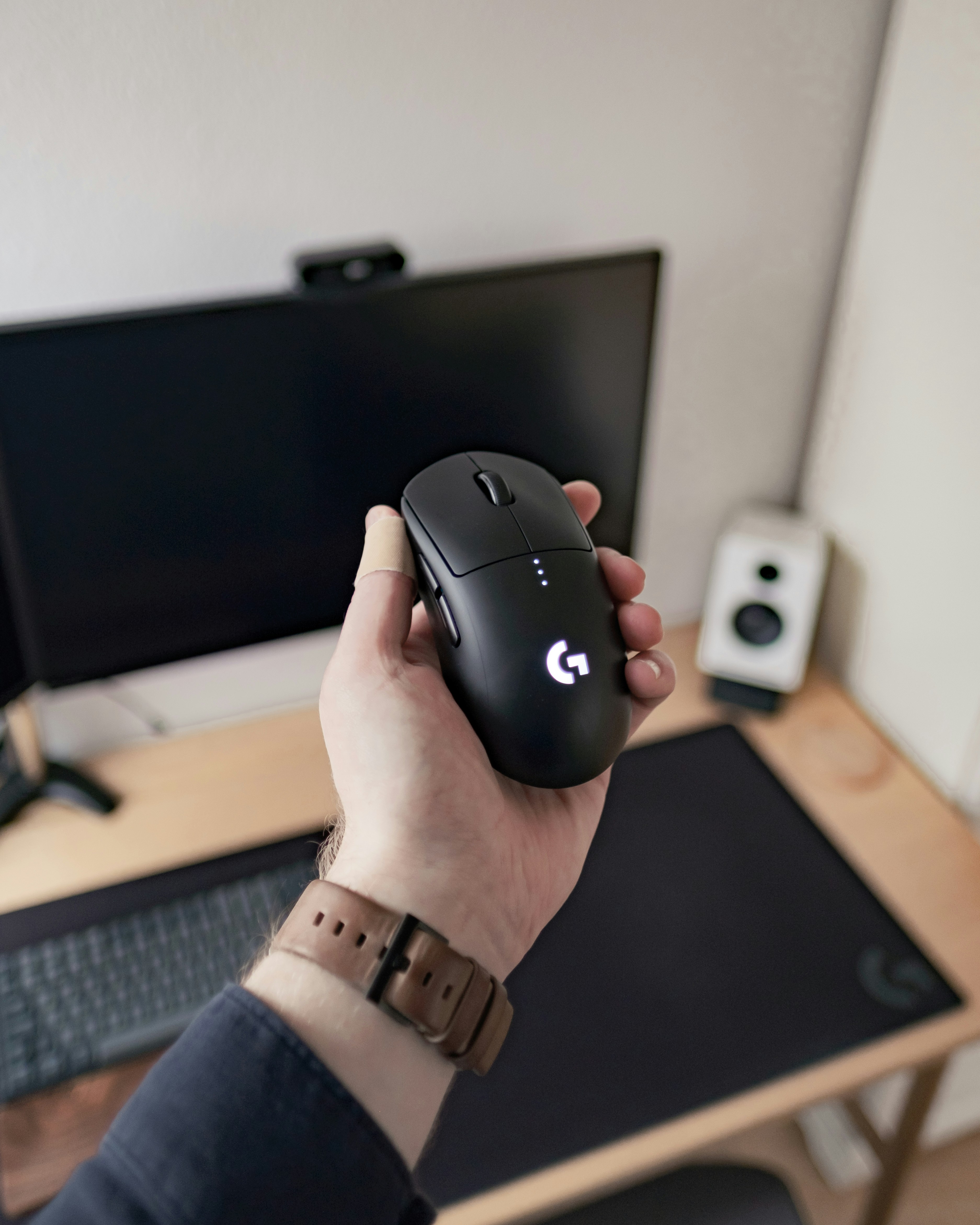 Mouse